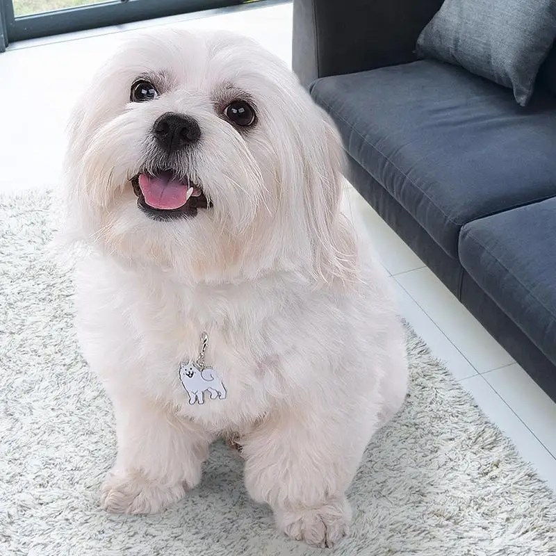 Бирка для собак милая 20x25 мм металлическая прочная Samoyed стильная домашних