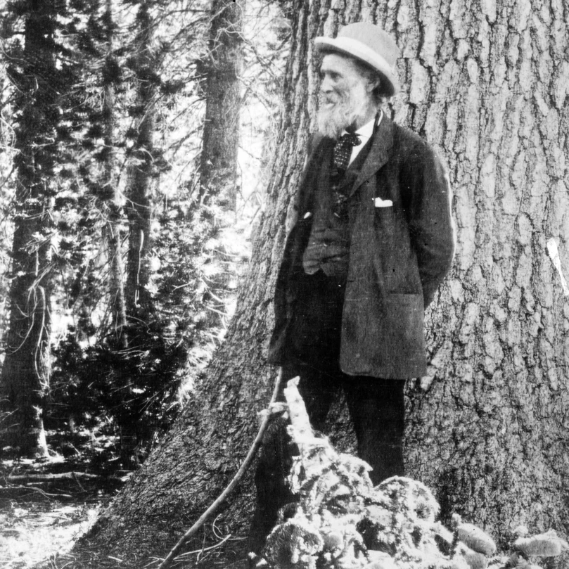 John Muir Scottish American Naturalist Poster Print by Science Source (24x36)|Таблички и знаки| |