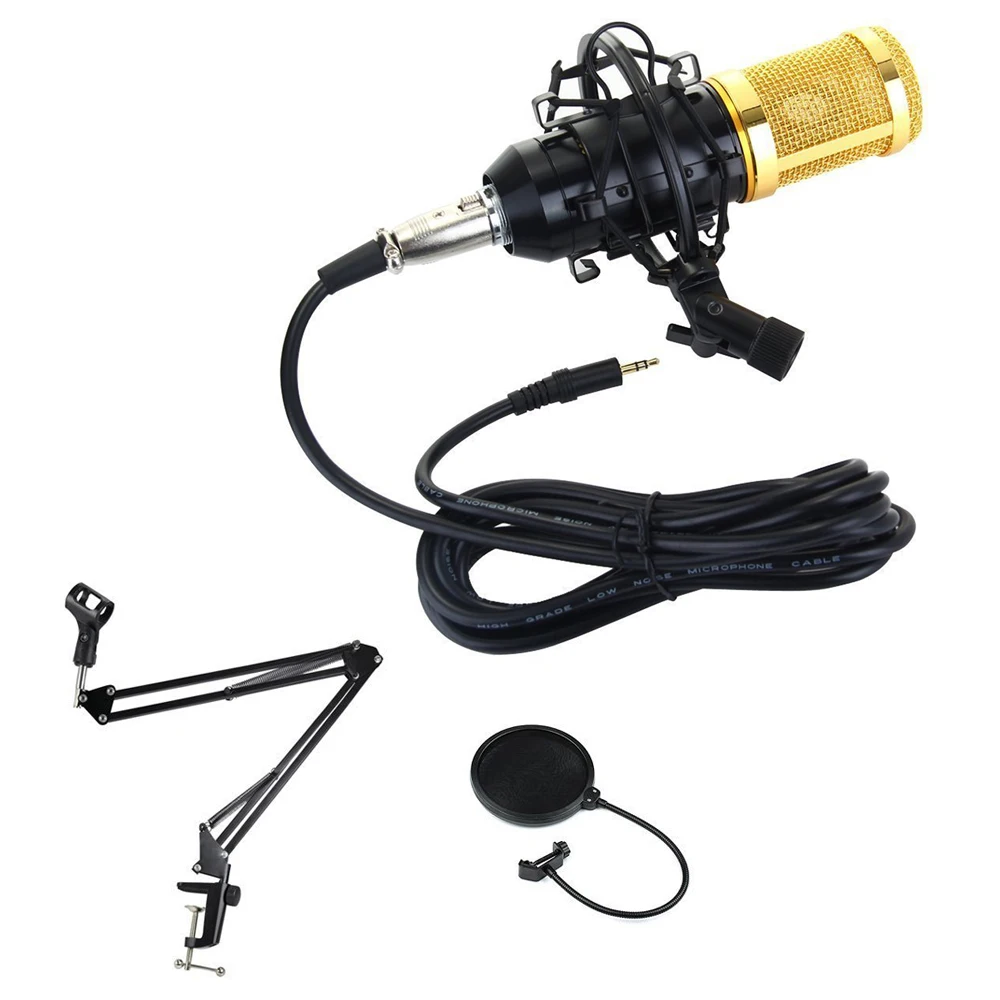 IG BM 800 конденсатор miniphone Cardioid Pro Audio Studio вокальный записывающий микрофон|Мегафоны| |