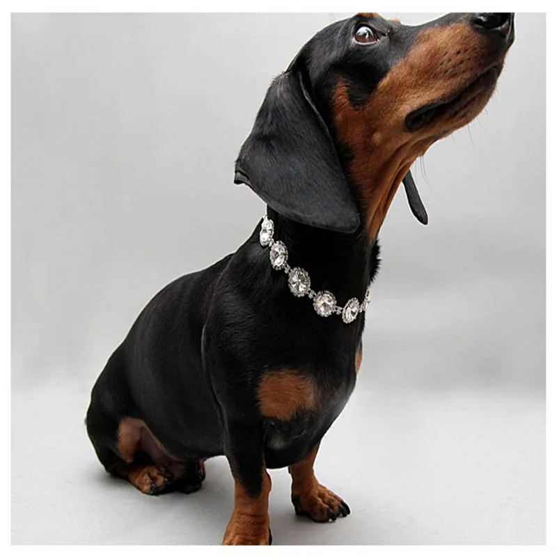 

Crystal Rhinestone Pet Cat Necklace Delicate Bling Cat Collar Shiny Neckerchief For Wedding Accessories Pet Products