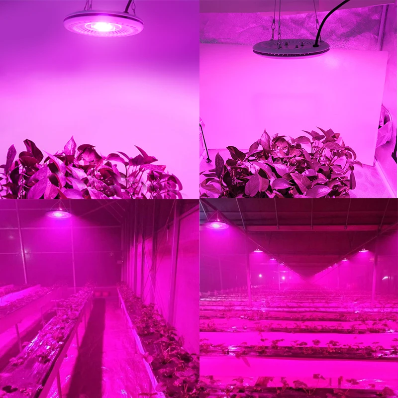 Grow Tent COB LED Light 50W Full Spectrum Phyto Lamp For Plants Indoor Growing Lamps Greenhouse Lights Flower Herbs Led |
