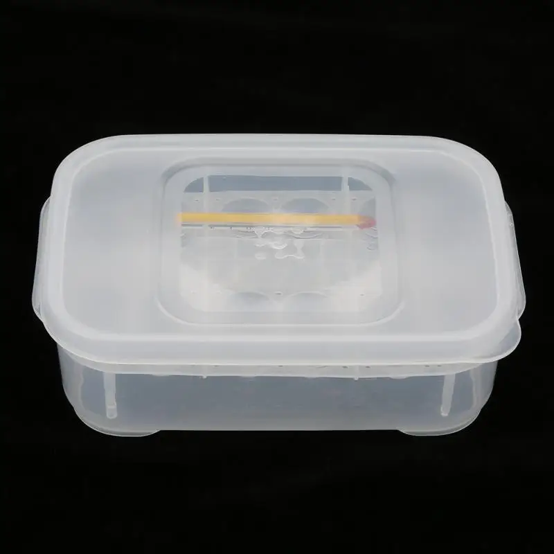 12 сеток змей геккон ящерицы рептилии яйца лоток для инкубатора шляпная коробка с