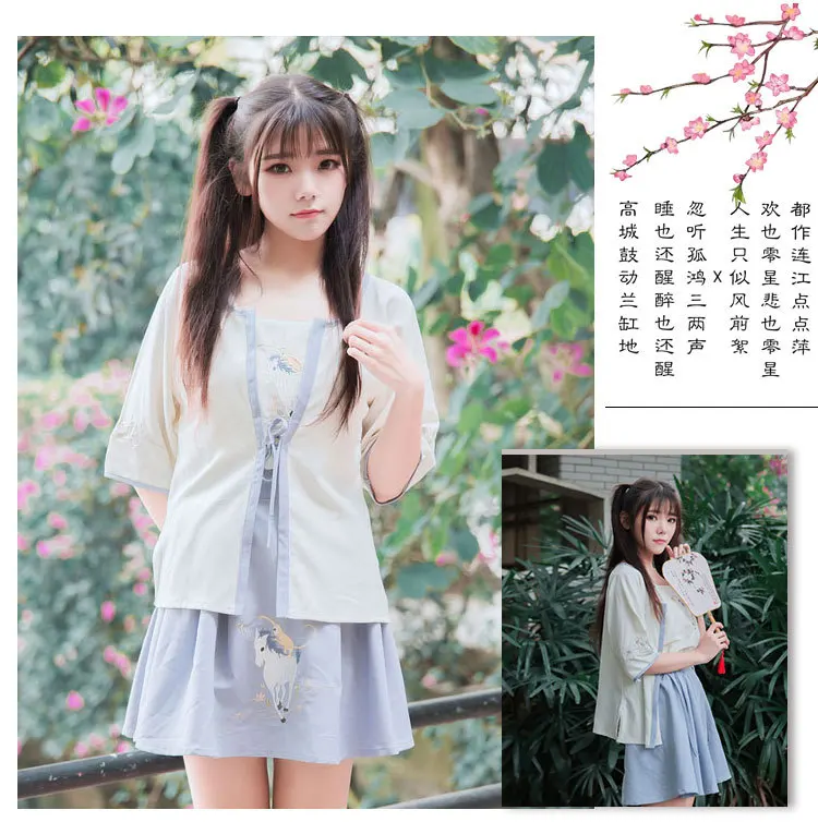 

Chinese Dynasty Element Women Lolita Girl Horse Embroidery - Embroidered Skirt 0572