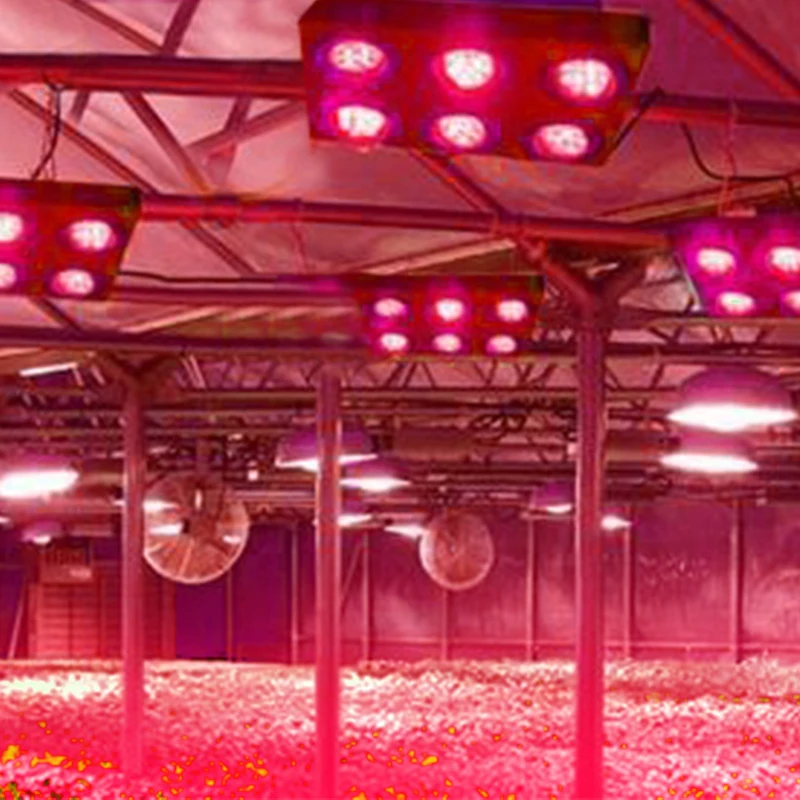 Светодиодный растительный свет полного спектра 2 шт. 1260 Вт для комнатных растений, фитолампа для тента, теплицы, овощного цветения и размножения.