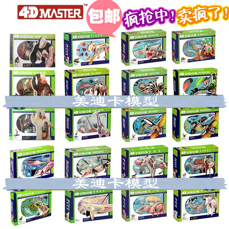 4d master puzzle Assembling toy Animal Dog cat Chicken Horse Shark Whale Biology organ anatomical model medical teaching model