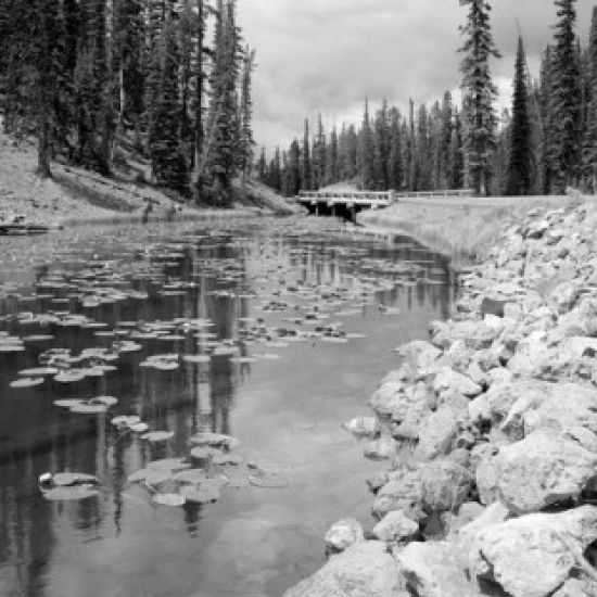 USA Wyoming Yellowstone National Park Isa Lake Poster Print (18 x 24) | Дом и сад