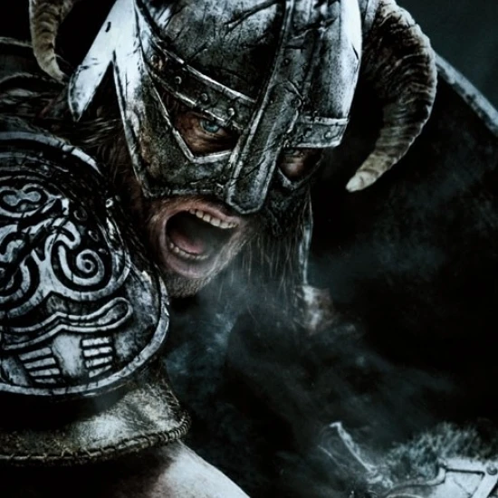 Elder Scrolls V Aerial Poster Print (22x34)|Таблички и знаки| |
