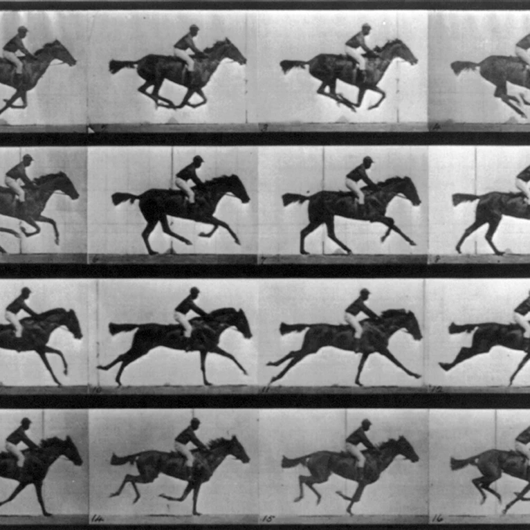 Muybridge Locomotion Racehorse Galloping 1887 плакат печать по науке источник (36x24) | Дом и сад