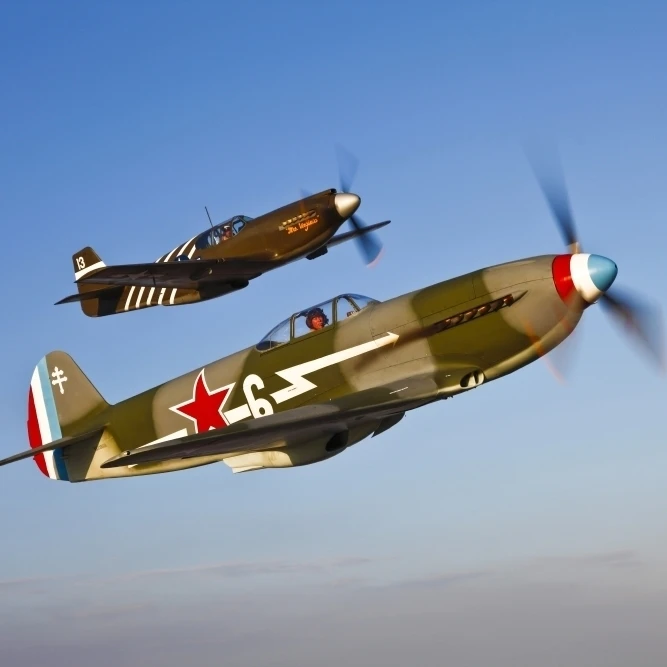 А Яковлев Як 9 истребитель и P 51A Mustang в полете плакат печать (17x11)|Таблички знаки| |