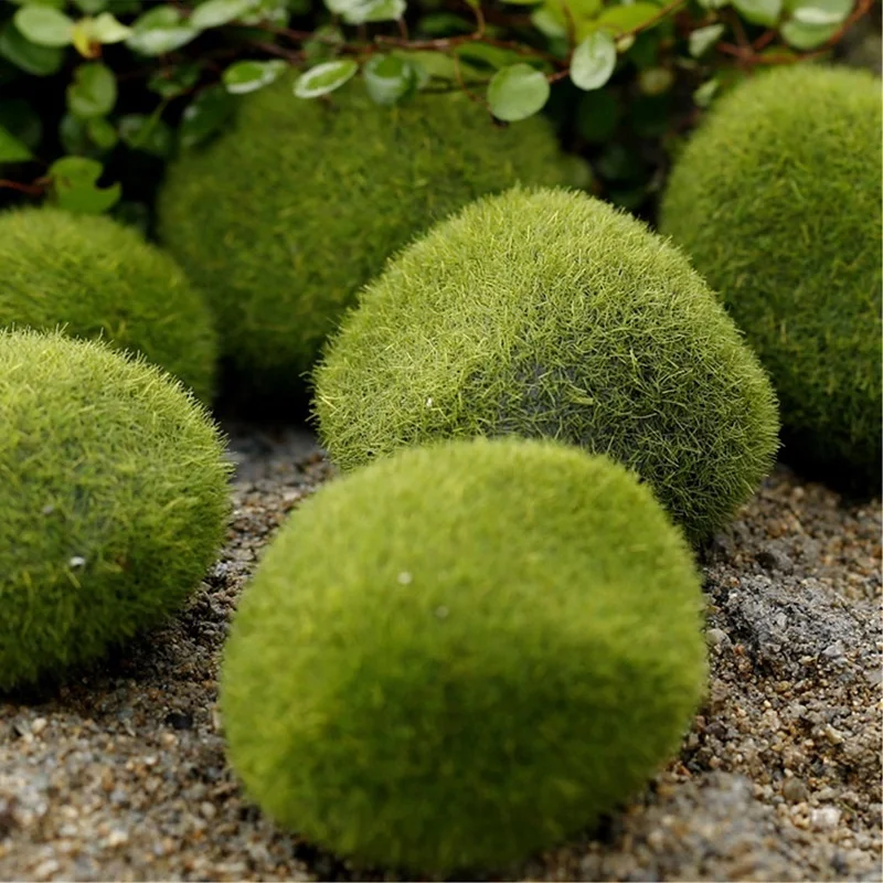 Новинка пенопласт для аквариума Зеленый мох 5 шт. растение Marimo декоративное