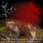 Лампа обогрева полного спектра рептилия, черепаха snake UVA + UVB sun светильник