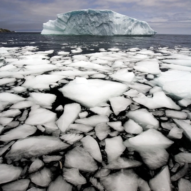 Плавающий лед разбитый от айсберга Quirpon Island Newfoundland & Labrador плакат печать