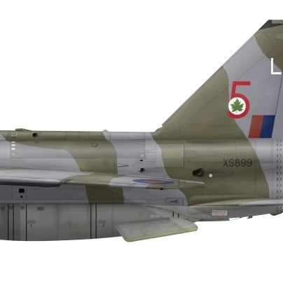 Английский Электрический Lightning F6 Royal Air ВВС постер печати (44x18)|Таблички и знаки| |