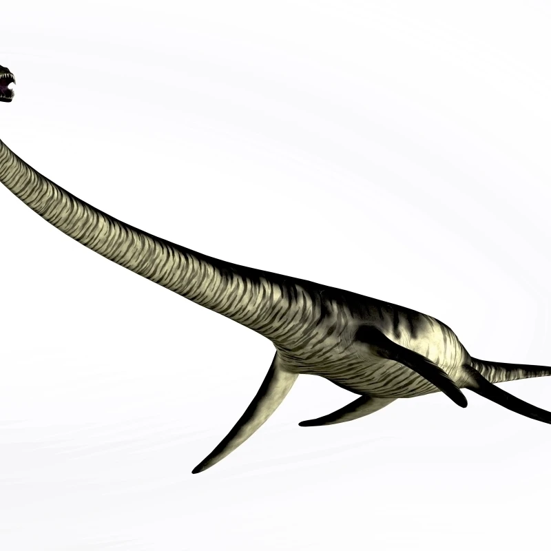 Elasmosaurus морская рептилия из мелового периода плакат печать (16x12) | Дом и сад