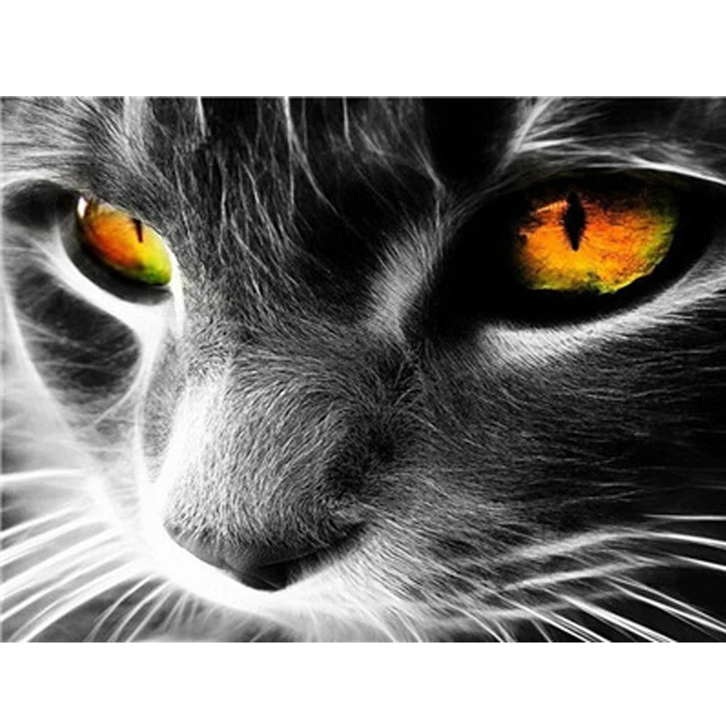 Масляная краска ing Paint s On Number акриловая настенная для стен черного кота Раскраска