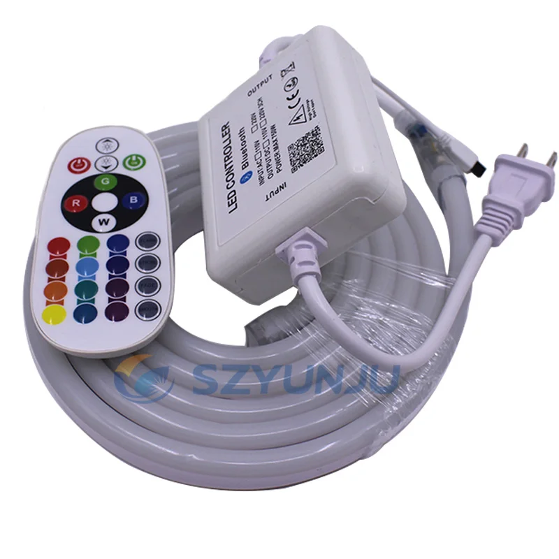 1-10 м 110В/220В 5050 60LED/м RGB светодиодные полосы неоновые огни IP67 водонепроницаемые с