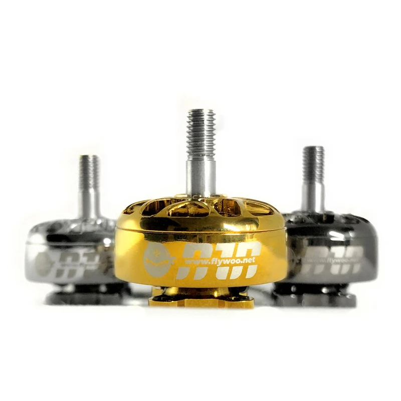 Бесщеточный мотор FLYWOO NIN N2306 2 6S FPV 1750/2450/2750KV золотистого/серебристого цвета для