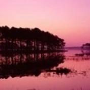 Панорамный вид на национальный лес во время заката Chincoteague National Wildlife Refuge Virginia USA
