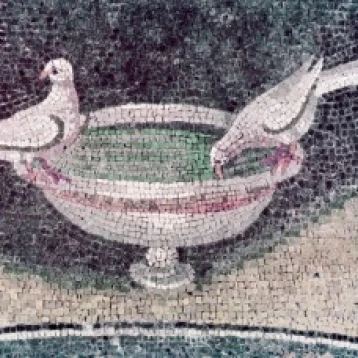 Птица и птица ванна художник неизвестная мозаика Италия Ravenna мавзолей Galla Placidia