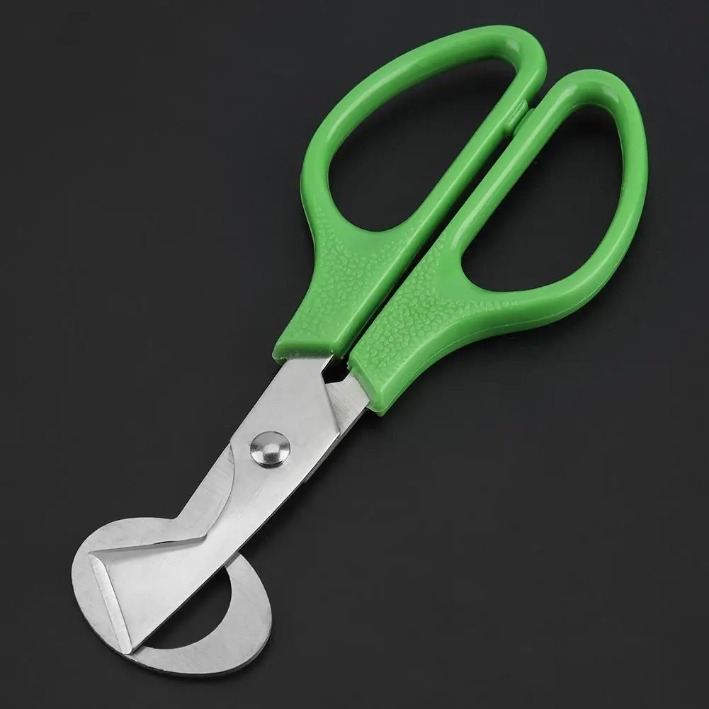 Многофункциональные ножницы TOPINCN для перепелов яиц коррозионно-стойкие и