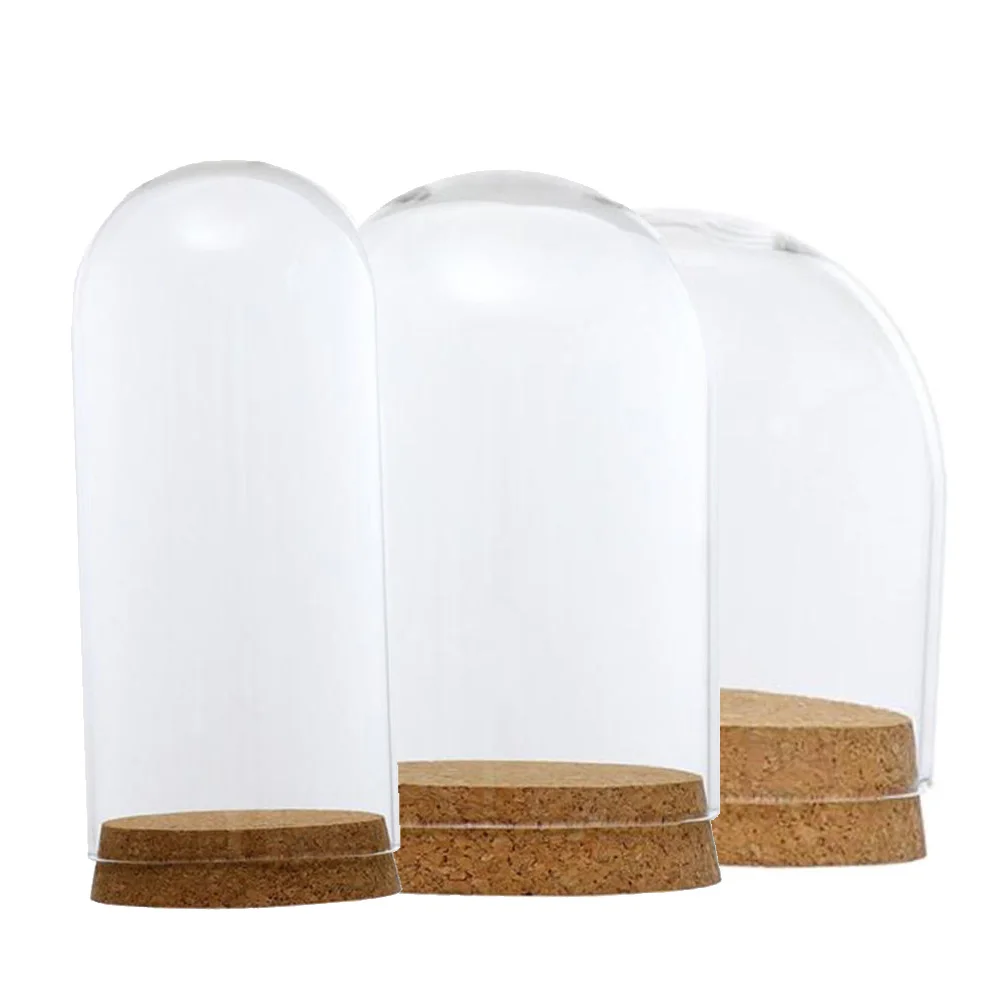 Горячая стеклянная крышка купола для цветов сочные растения ваза с деревянная