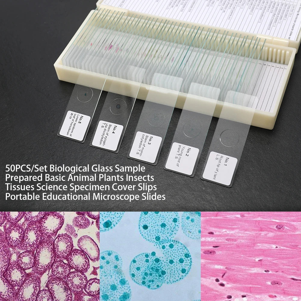 50 шт./компл. Coverslips стекло микроскоп части свежие животные растения насекомые