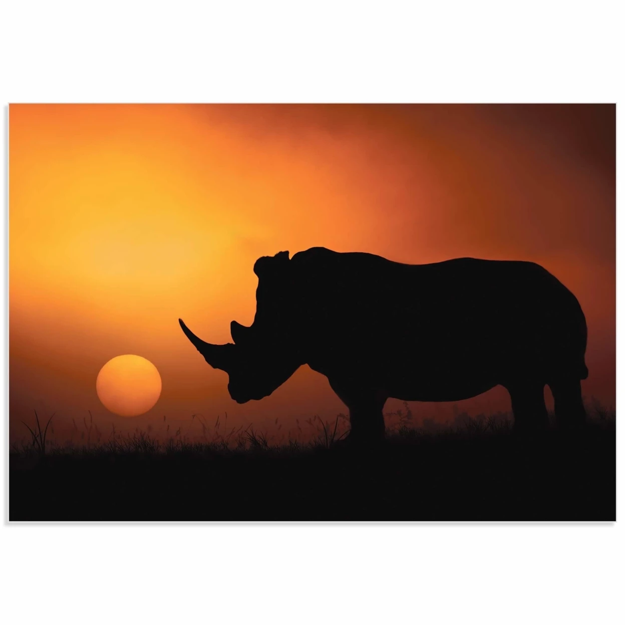 Rhino Sunrise от Mario Moreno Silhouette Art on Acrylic|Наклейки на стену| |