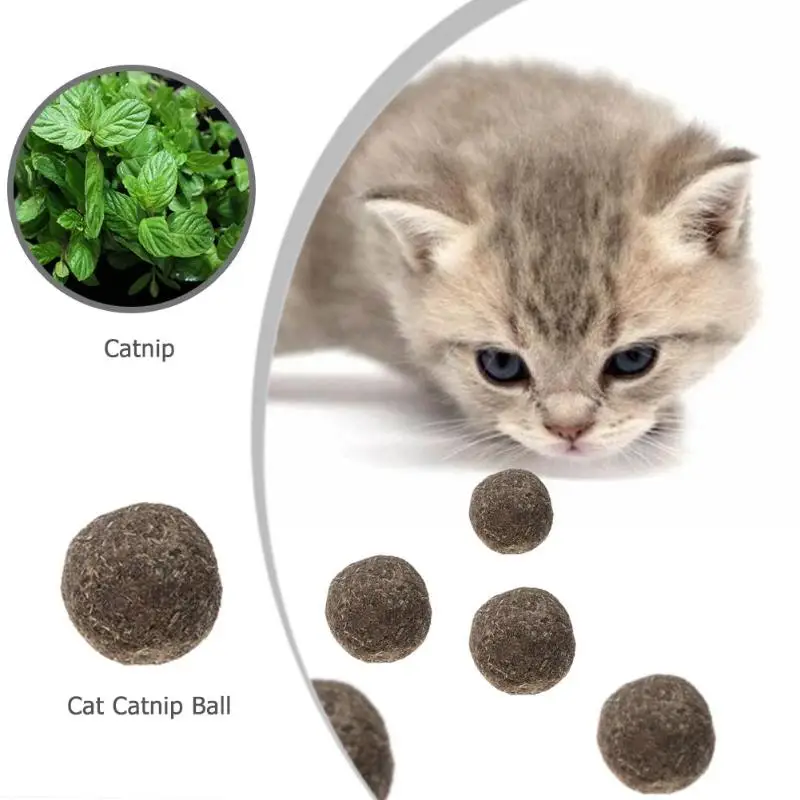 1 шт. шарик из натуральной кошачьей мяты съедобные Коты мята кошка кусание