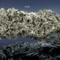 Money tree Poster Print (18 x 7) | Дом и сад