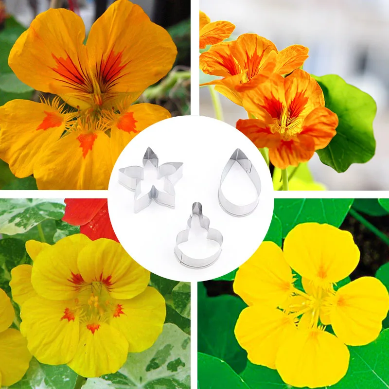 

Polymer Clay Cutter Golden Lotus Flower Petal Cutting Mold Hand-made DIY Polymer Clay Flower,Fondant Tools Art Supplies