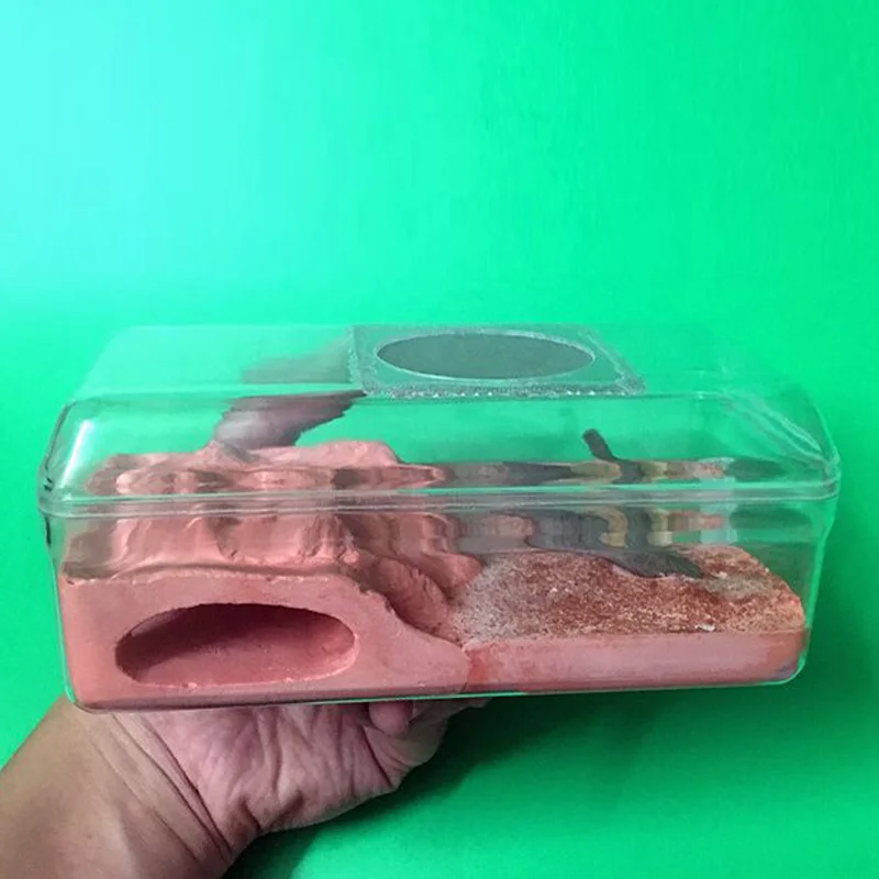 Муравьиное земное гнездо гипсовое ферма дом мастерское замок|Юный биолог| |