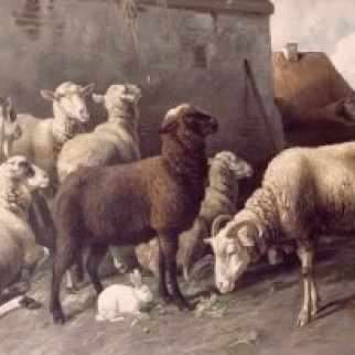В передней части сарая Кристиан Фридрих Мали (1832-1906) плакат печать (24x36) | Дом и сад