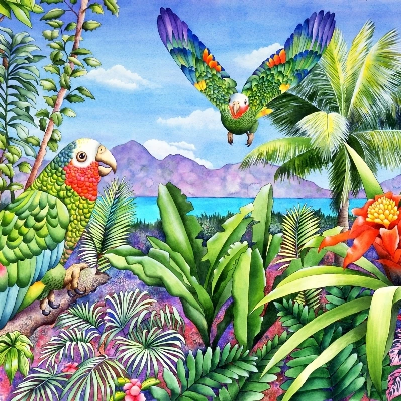 Летающие цвета плакат печать Carolyn Steele (30x24)|Таблички и знаки| |