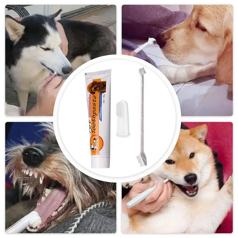 Pet Oral Care Kit Dog Cat Toothbrush Toothpaste Set Improve Hygiene Mouth Cleaning Reduce Dental Plaque |