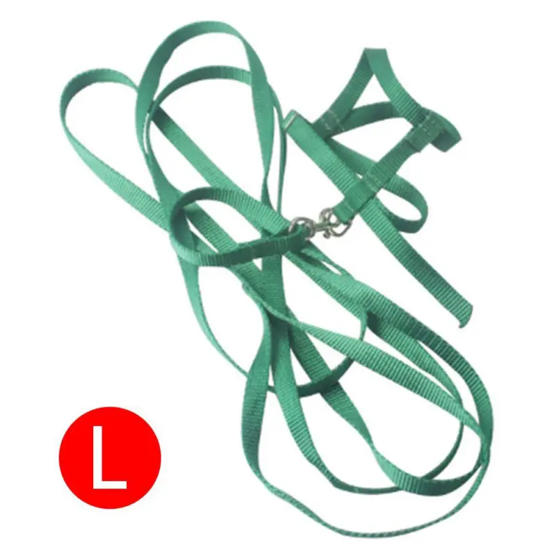 Попугай Тяговый ремень Открытый ПЭТ птица шлейка и поводок Летающий