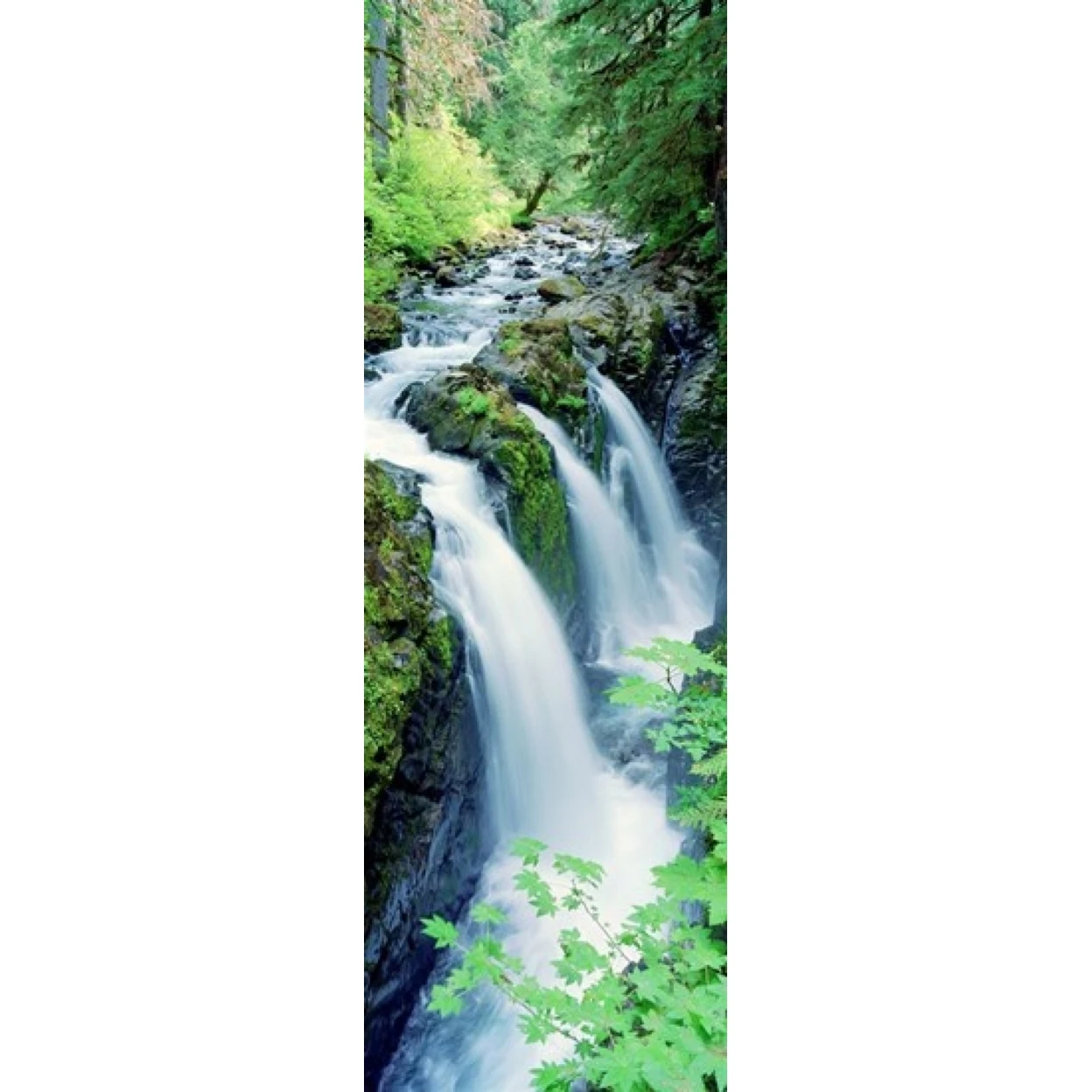 Sol Duc Falls Олимпийский Национальный парк ва плакат печать (18x7) | Дом и сад