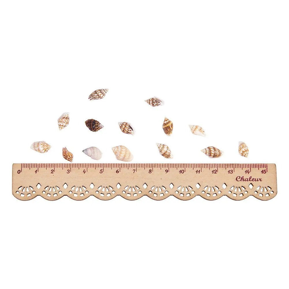 About 1300-1500 Tiny Sea Shell Ocean Beach Spiral Seashells Craft Charms 7-12mm for Candle Making Home Decoration Theme | Украшения и