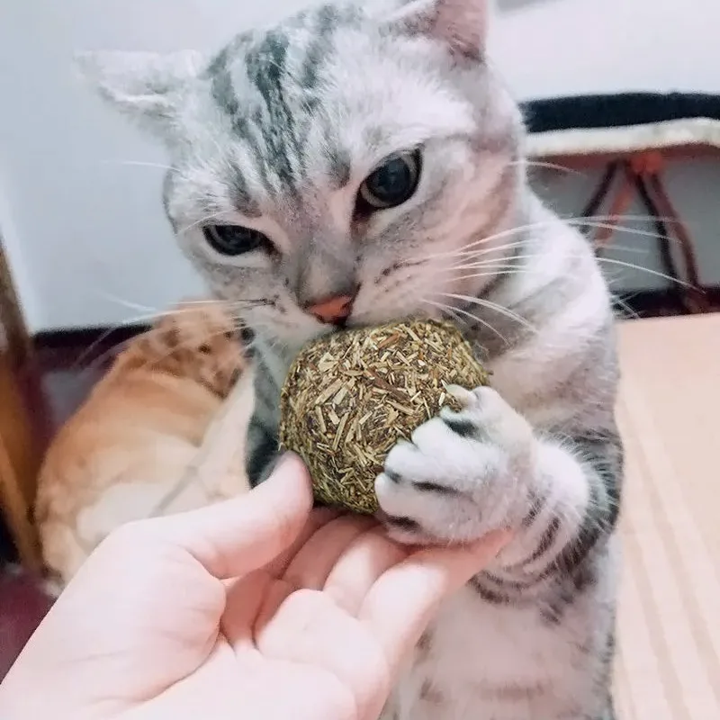 Натуральная кошачья мята для домашних животных ментоловый аромат котенок мяч