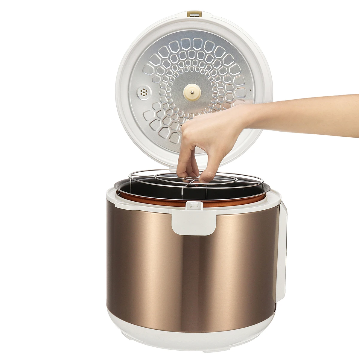 Warmtoo 6L 90W автоматический черный чеснок ферментер бытовой DIY зимолиз заварочный чайник 110V 220V машина для брожения Черного Чеснока
