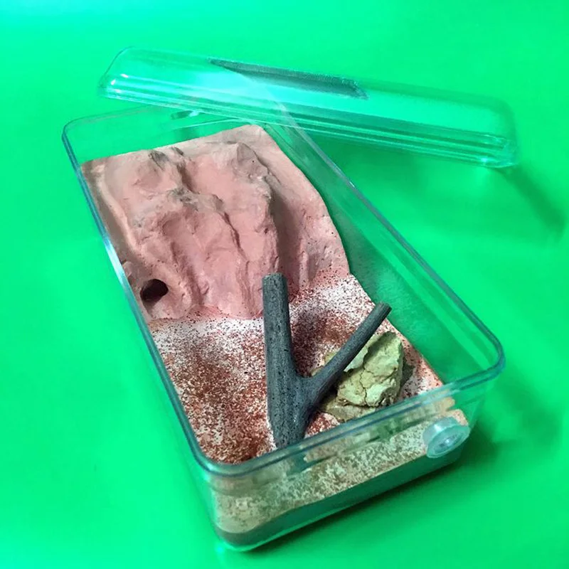 Муравьиное земное гнездо гипсовое ферма дом мастерское замок|Юный биолог| |