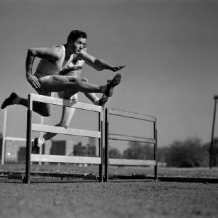 Печать плакатов Steeplechase (24x36)|Таблички и знаки| |