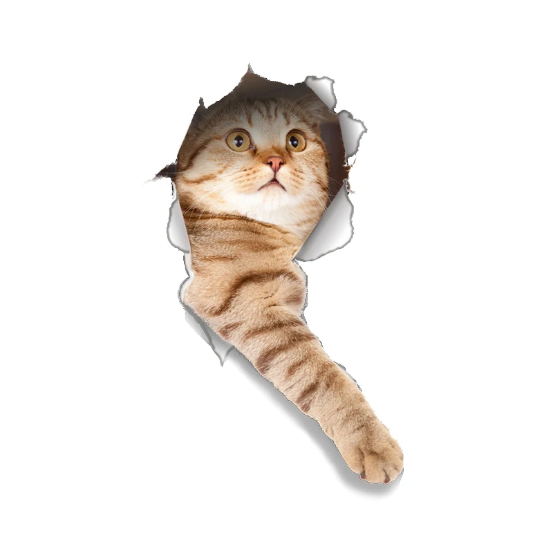3D Kitten Puppy Animal Wall Sticker Decal Art Wallpaper Decoration | Дом и сад