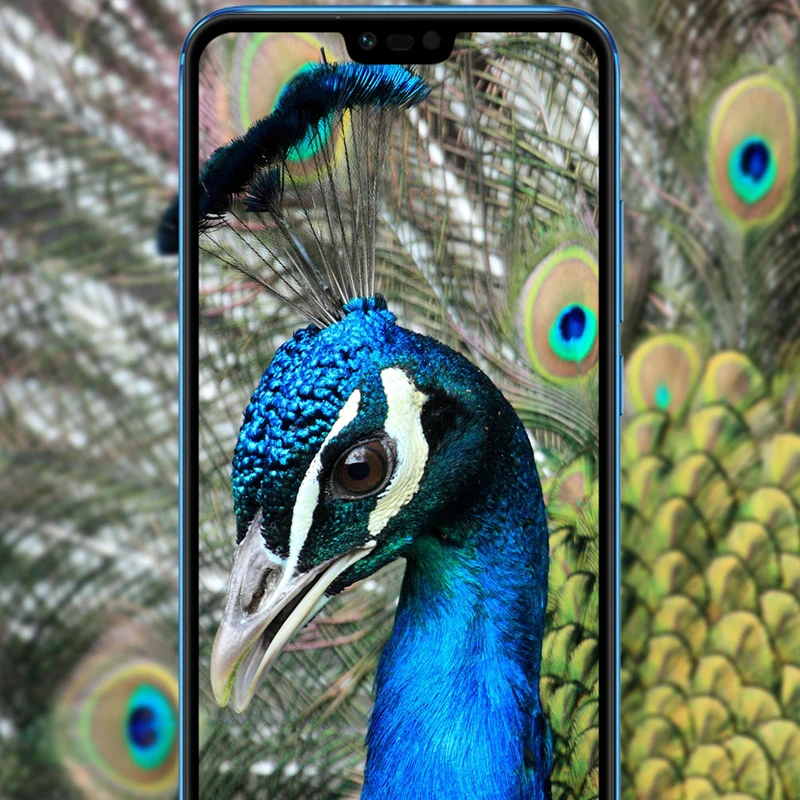 Защитная пленка Honor9 для Huawei P 20 P20 Pro Lite Honor10 10 9 8 Light lite Smart закаленное стекло |