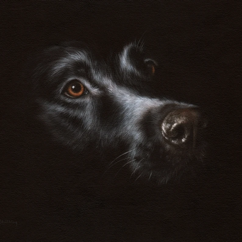 Черный лабрадор плакат печать Рейчел Stribbling (28x22)|Таблички и знаки| |