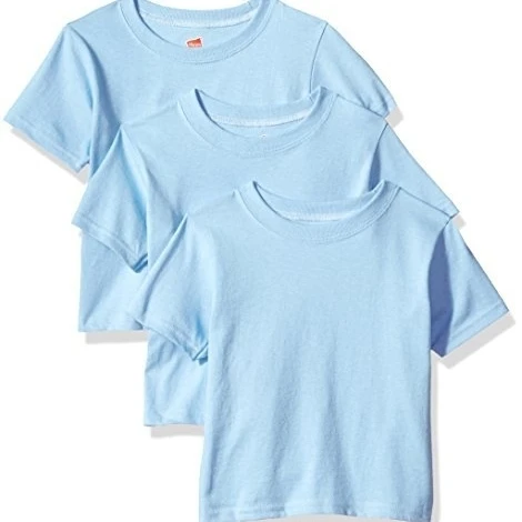 Hanes 617914473334 ComfortSoft Футболка с круглым вырезом для малышей светло-голубой-2 T |