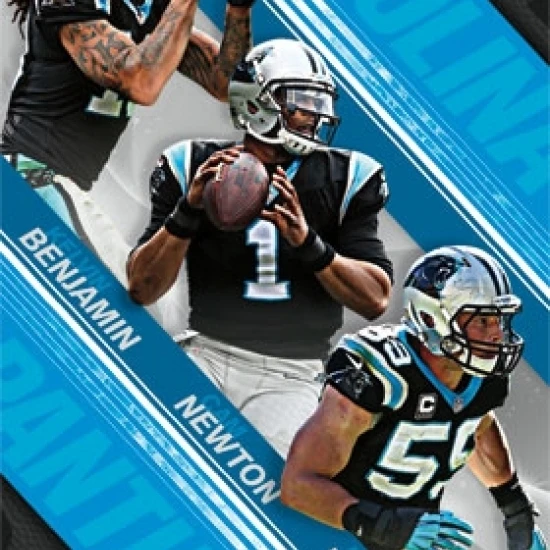 Carolina Panthers Team 2015 постер печать (24x36)|Таблички и знаки| |