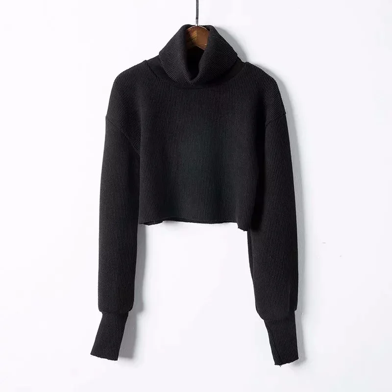 High Quality Autumn Winter Turtleneck Crop Tops Short Casual Basic Solid Sweater Women Long Sleeve Knitted Pullovers | Женская одежда