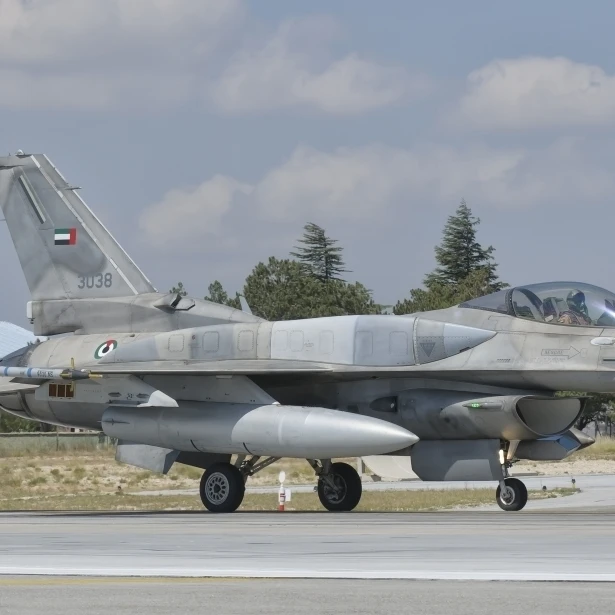 A Объединенные Арабские Эмираты Air Force F 16 блок 52 + taxiing плакат печать (35x21)|Таблички и