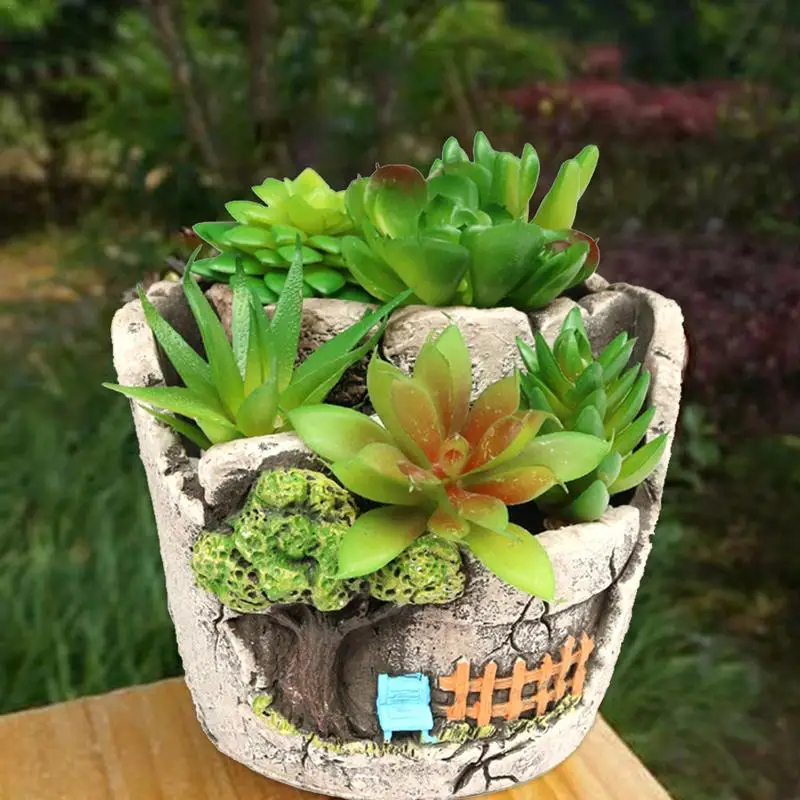 Сочные цветочные горшки креативные милые формы зеленое растение микро пейзаж