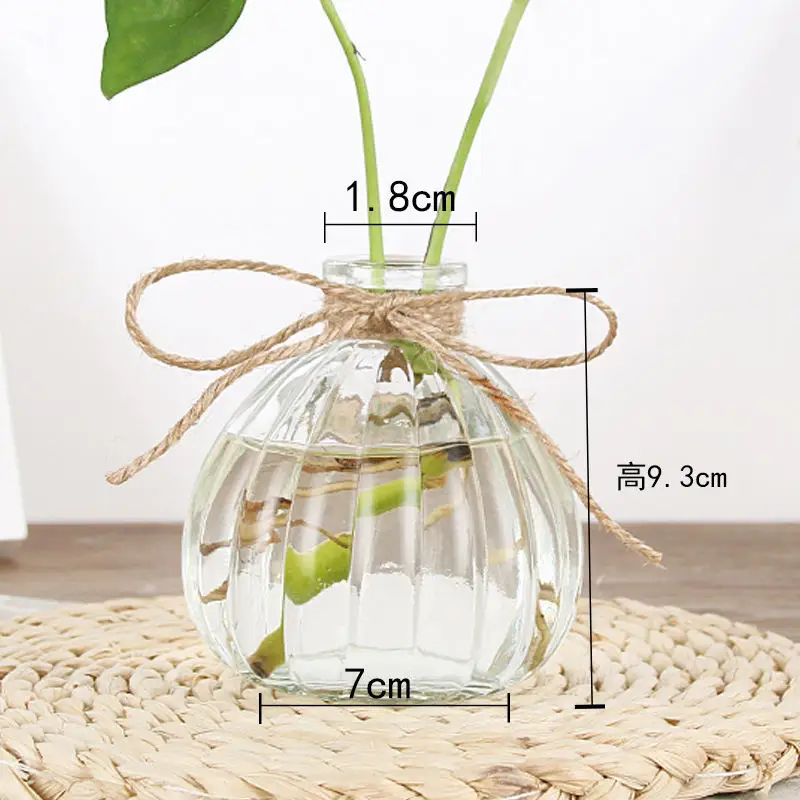 Скандинавское стекло прозрачная ваза для рабочего стола украшения сухоцветы
